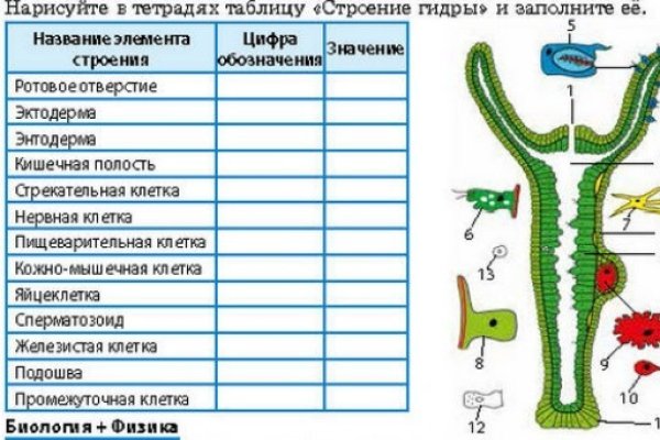 Кракен современный маркетплейс